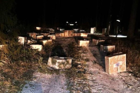 В Литве в лесу обнаружили 100 коробок с беларускими сигаретами